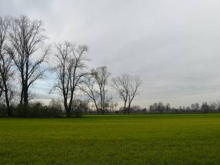 Le campagne nella zona di Bariano